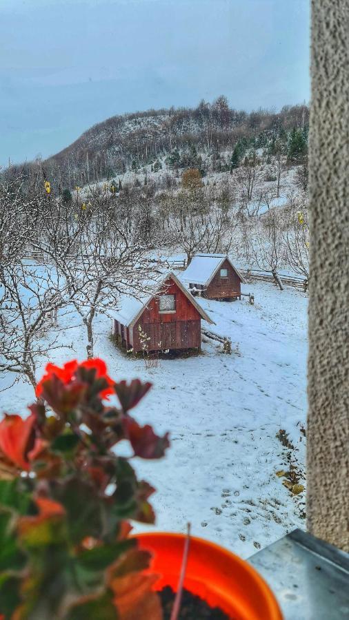 Etno Domacinstvo Saponjic Hotel Nova Varoš Exterior foto