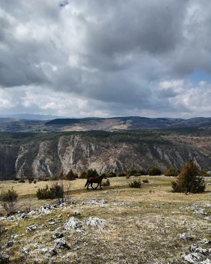 Etno Domacinstvo Saponjic Hotel Nova Varoš Exterior foto