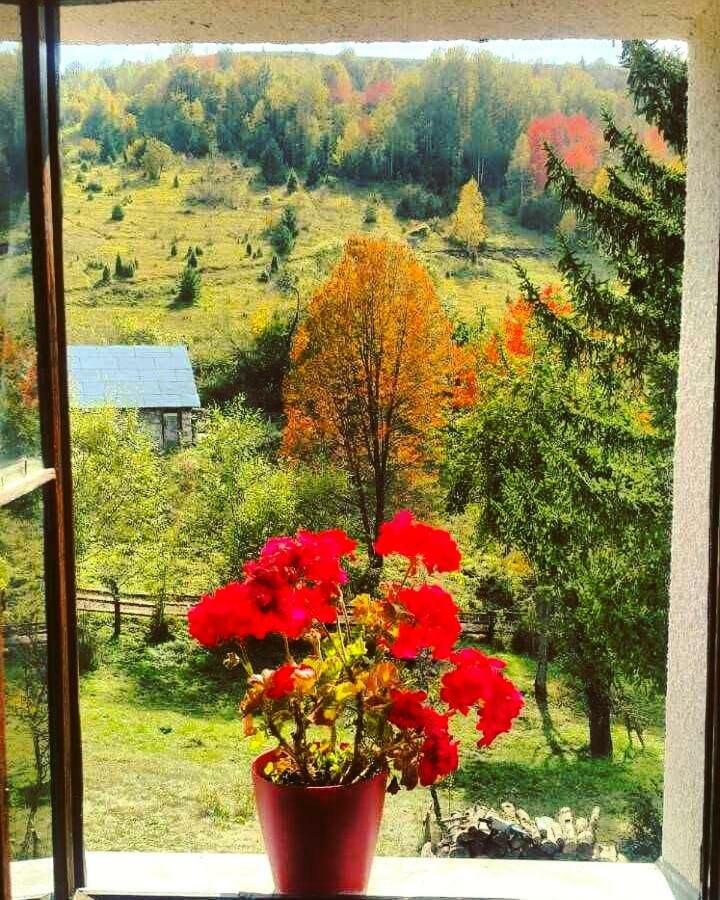 Etno Domacinstvo Saponjic Hotel Nova Varoš Exterior foto